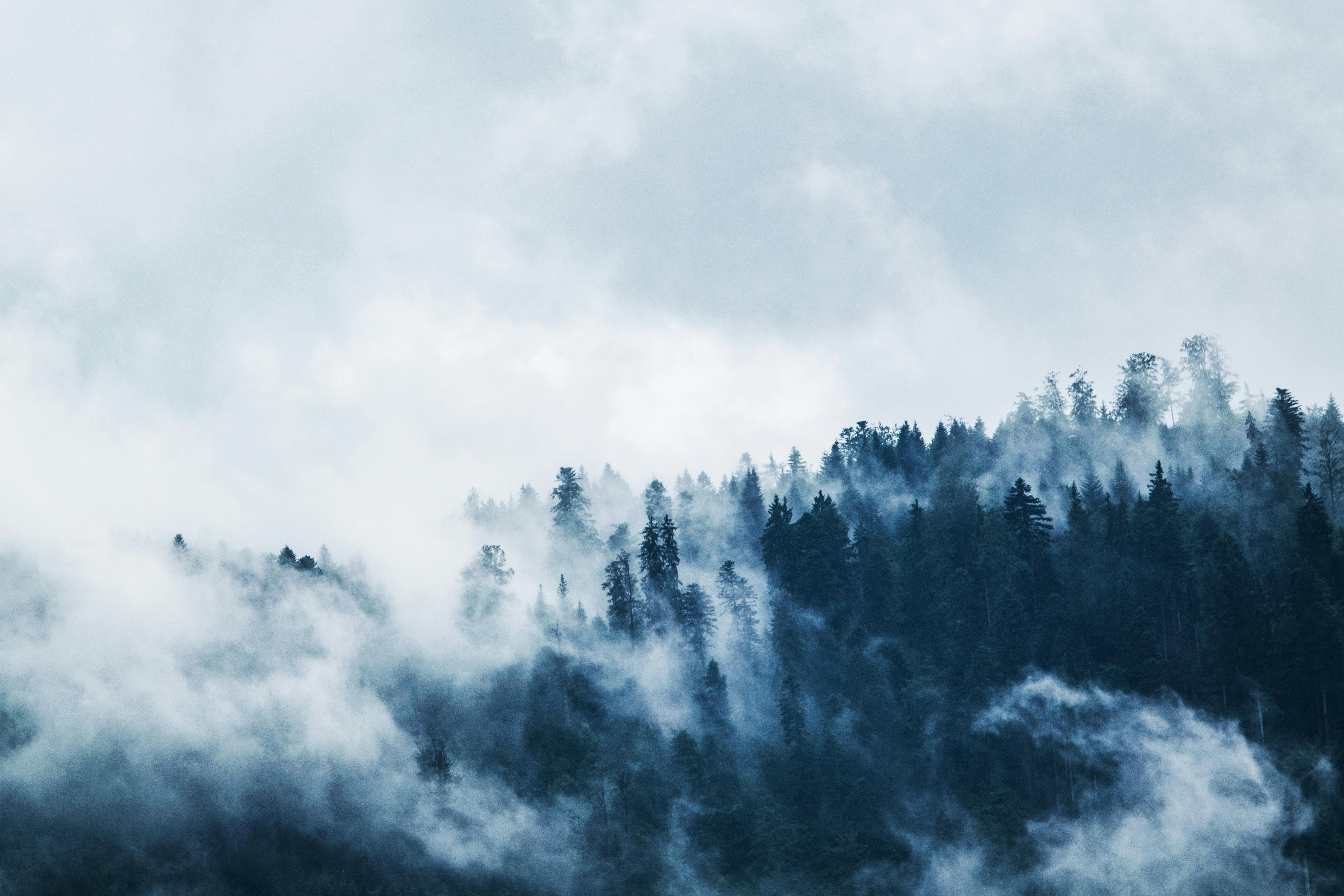 AI-powered sustainability intelligence