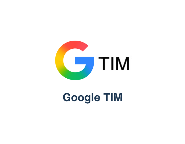 Google TIM2