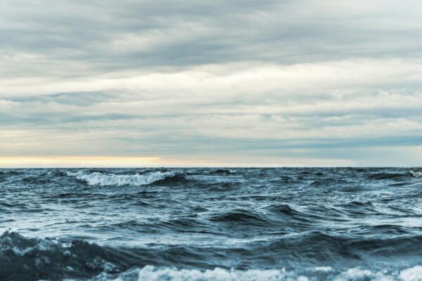 The Advantage Travel Partnership and Thrust Carbon Forge New Sustainability Alliance