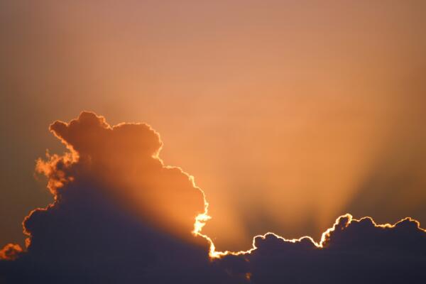 Climate Anxiety: Strategies for Lightening the Load